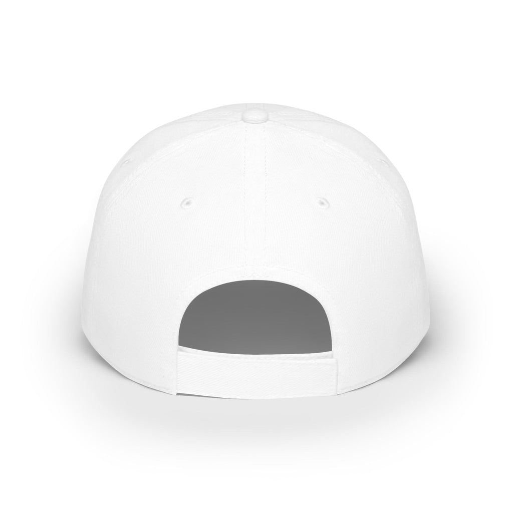DIVINE NEWS NETWORK | Official Baseball Cap