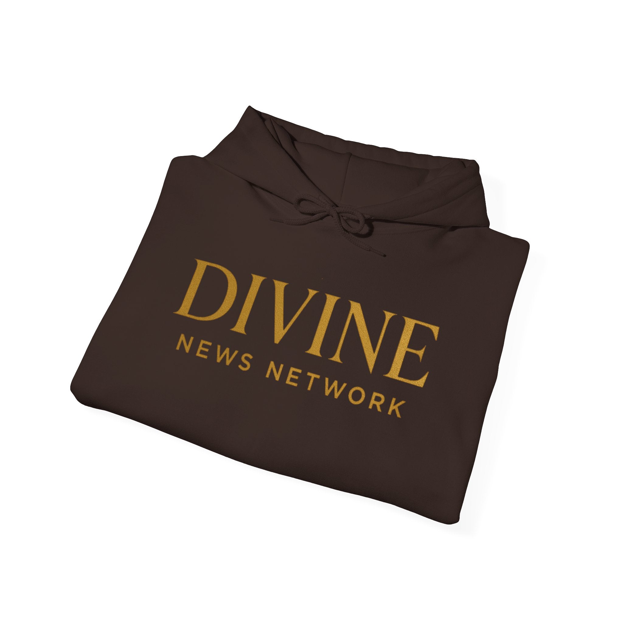 DIVINE NEWS NETWORK | Official Unisex Hoodie