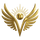Divine News Network Shop - Home